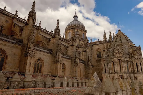 SALAMANCA, SPAIN - 3 Temmuz 2024: Katedral Vieja Eski Katedrali 'nin çatısında mimari ayrıntılar