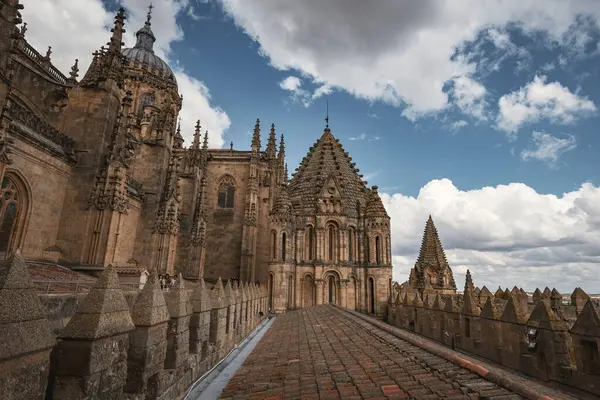 SALAMANCA, SPAIN - 3 Temmuz 2024: Katedral Vieja Eski Katedrali 'nin çatısında mimari ayrıntılar