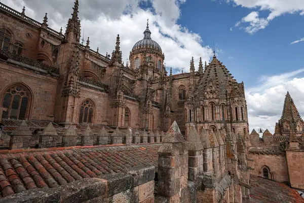 SALAMANCA, SPAIN - 3 Temmuz 2024: Katedral Vieja Eski Katedrali 'nin çatısında mimari ayrıntılar