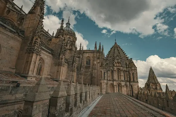SALAMANCA, SPAIN - 3 Temmuz 2024: Katedral Vieja Eski Katedrali 'nin çatısında mimari ayrıntılar
