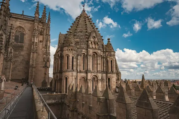 SALAMANCA, SPAIN - 3 Temmuz 2024: Katedral Vieja Eski Katedrali 'nin çatısında mimari ayrıntılar