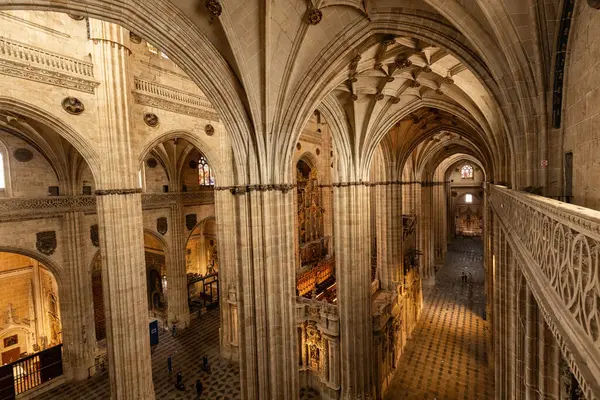SALAMANCA, İspanya - 3 Temmuz 2024: Katedral Vieja Eski Katedrali, Salamanca İspanya