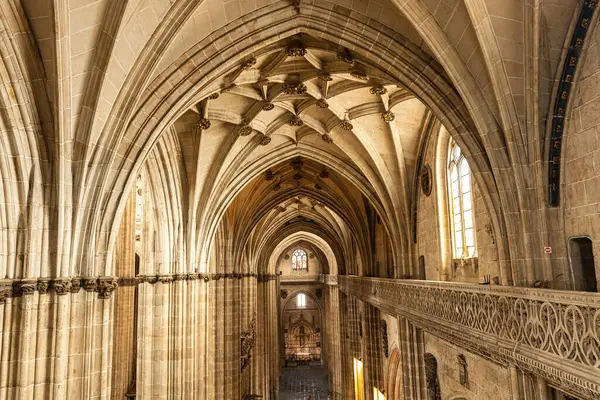 Katedral Vieja Eski Katedrali, Salamanca İspanya