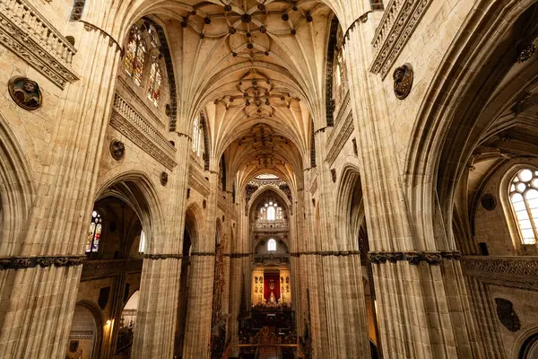 Katedral Vieja Eski Katedrali, Salamanca İspanya