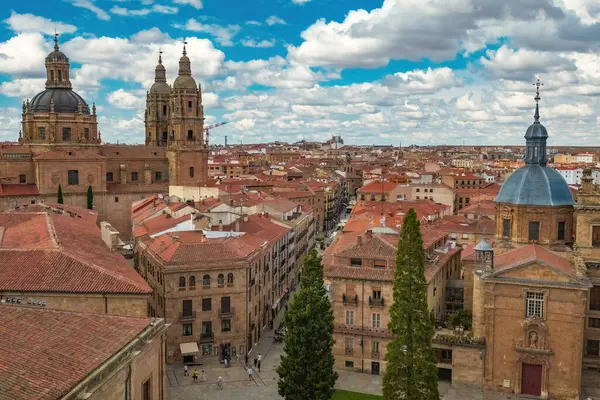 SALAMANCA, İSPAIN - 3 Temmuz 2024: İspanya Katedrali 'nden Salamanca' nın eski kasaba manzarası