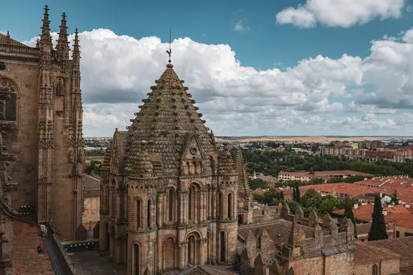 SALAMANCA, SPAIN - 3 Temmuz 2024: Katedral Vieja Eski Katedrali 'nin çatısında mimari ayrıntılar