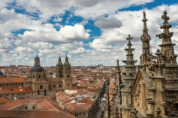 Katedral Vieja Eski Katedrali, Salamanca 'nın çatısında mimari ayrıntıları