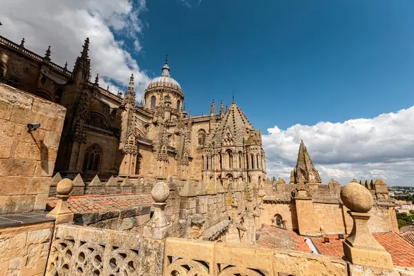Katedral Vieja Eski Katedrali, Salamanca 'nın çatısında mimari ayrıntıları