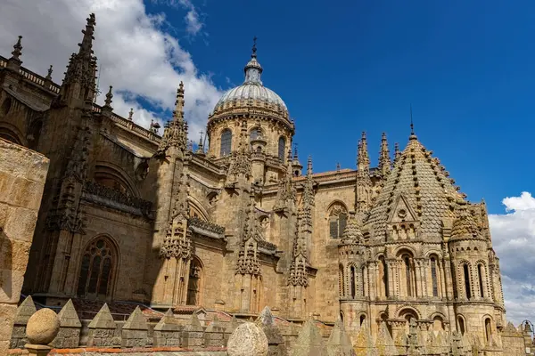Katedral Vieja Eski Katedrali, Salamanca 'nın çatısında mimari ayrıntıları