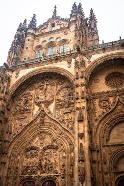 SALAMANCA, İspanya - 3 Temmuz 2024: Salamanca Katedrali 'ndeki Yeni Katedral Cephesi Nueva İspanya