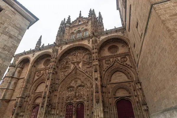 SALAMANCA, İspanya - 3 Temmuz 2024: Salamanca Katedrali 'ndeki Yeni Katedral Cephesi Nueva İspanya