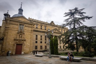 SALAMANCA, İSPAN - 3 Temmuz 2024: Salamanca İspanya 'nın Ols kasabasındaki Anaya Sarayı