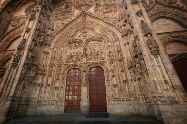İspanya 'nın Yeni Salamanca Katedrali' nin süslü cephesinde ayrıntılı Gotik ve Plateresk taş oymalarıyla Puerta de Ramos yer almaktadır.