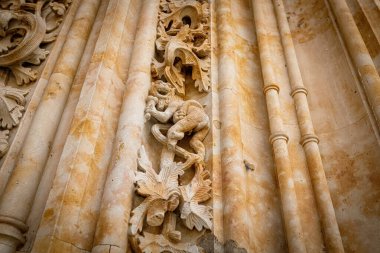 İspanya 'nın Yeni Salamanca Katedrali' nin dekoratif bas kabartması, ayrıntılı Gotik ve Plateresk taş oymalarıyla Puerta de Ramos sunar.