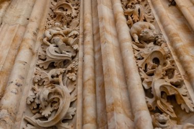 İspanya 'nın Yeni Salamanca Katedrali' nin dekoratif bas kabartması, ayrıntılı Gotik ve Plateresk taş oymalarıyla Puerta de Ramos sunar.