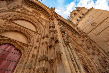 SALAMANCA, İspanya - 3 Temmuz 2024: Yeni Salamanca Katedrali 'nin ön cephesinde ayrıntılı Gotik ve Plateresk taş oymaları ile Puerta de Ramos yer almaktadır.