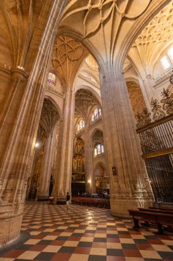 SEGOVIA, SPAIN - 15 Temmuz 2024: İspanya 'nın Segovia kentindeki Roma Katolik katedrali Aziz Fructus' un Katedrali