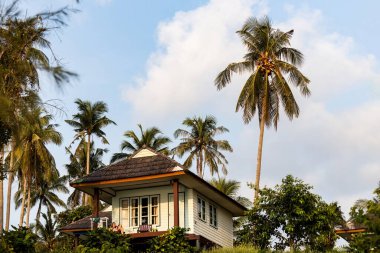 BANGKOK, THAILAND - 20 Mart 2025: Tayland 'da palmiye ağaçlarıyla çevrili tepedeki tatil evi