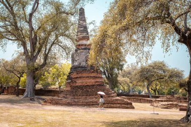 BANGKOK, THAILAND - 20 Mart 2025: Tayland 'ın eski Tayland başkenti Ayutthaya' da antik Budist sputaları