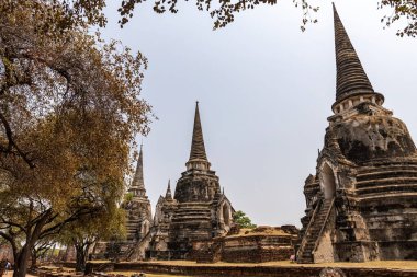 Tayland 'ın eski Tayland başkenti Ayutthaya' da antik Budist sputaları