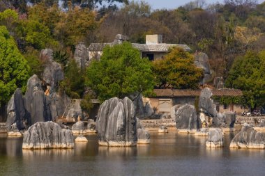 Yunnan bölgesindeki Shilin Taş Ormanı