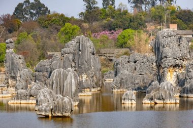 Yunnan bölgesindeki Shilin Taş Ormanı