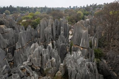 Yunnan bölgesindeki Shilin Taş Ormanı