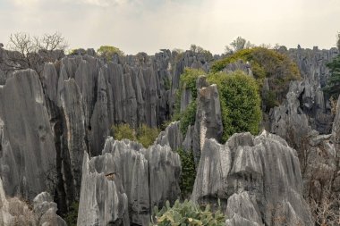Yunnan bölgesindeki Shilin Taş Ormanı