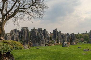 Yunnan bölgesindeki Shilin Taş Ormanı