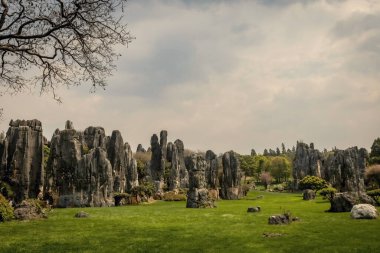 Yunnan bölgesindeki Shilin Taş Ormanı