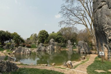 Yunnan 'daki Shilin Stone Ormanı' nda etkileyici bir göl ve taş manzarası var.