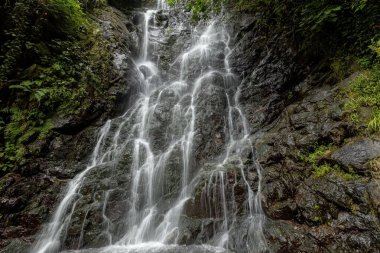 Georgia 'nın dibinden güzel bir şelale manzarası var.