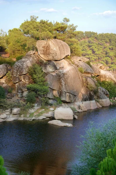 Bosque Pino Piedra Día Soleado Región Del Egeo Turquía — Foto de Stock