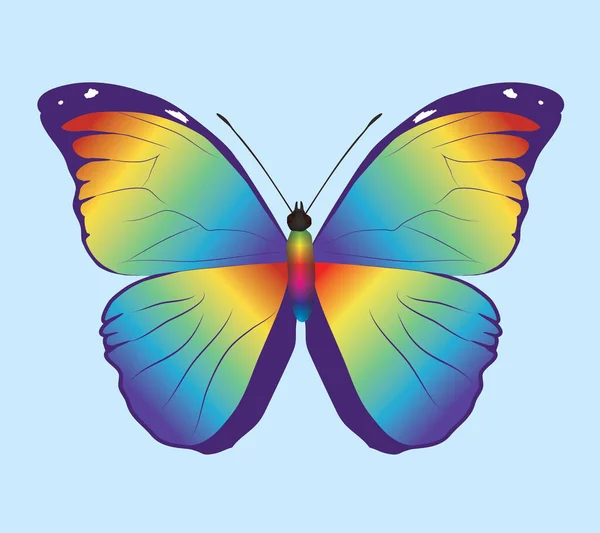 Morphorainbow Morpho Menelaus Butterfly Les Ailes Sont Remplies Gradient Arc — Image vectorielle