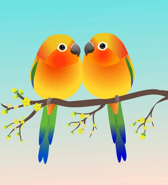 Два Милых Солнечных Попугая Форме Яйца Сидят Лицом Друг Другу — стоковый вектор