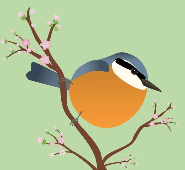 Wektorowa Ilustracja Nusteszu Kształcie Jajka Ptak Siedzi Ukośnej Gałęzi Kwiatem — Wektor stockowy
