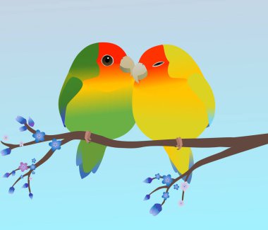 Yumurta şeklinde iki sevimli gül yüzlü muhabbet kuşu. Biri yeşil renk varyasyonu, diğeri sarı. Birbirinize sarılıyorsunuz. Yumuşak mavi eğimli arkaplan. Kuşlar mavi çiçekli bir dala tünemiş..