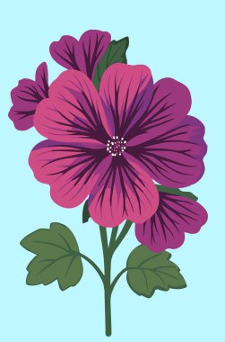 Malva Sylvestris ya da mavi arkaplandaki yaygın mallow illüstrasyonu