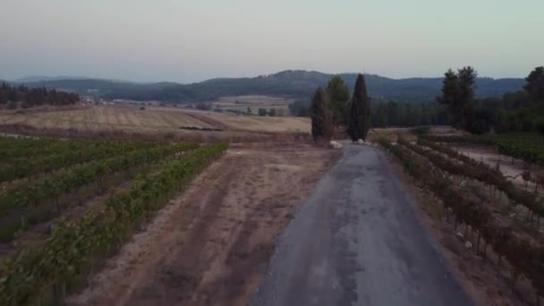 Drone Menembak Kebun Anggur Israel — Stok Video