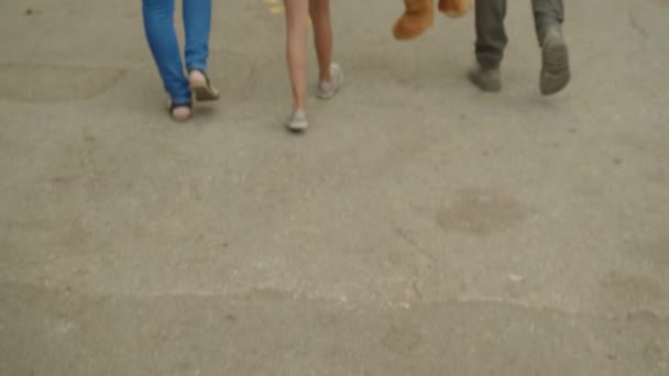 Apa Anya Lánya Sétálnak Állatkertben — Stock videók