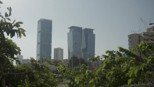 从树叶看特拉维夫的摩天大楼 — 图库视频影像