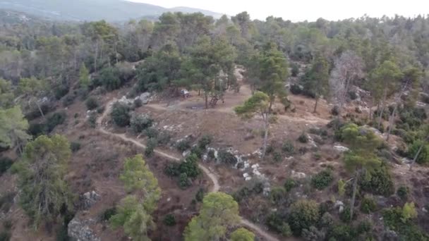 Sebuah Pandangan Drone Dari Atas Bukit Dengan Pohon Pinus — Stok Video