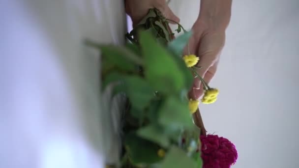 Nastrój Wideo Pionowe Dziewczyna Zbiera Bukiet Jasnych Świeżych Kwiatów — Wideo stockowe