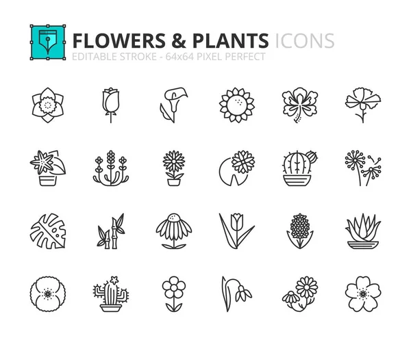 花朵和植物的线条图标 包含玫瑰 郁金香 水仙花 藏红花和仙人掌等图标 可编辑笔划矢量64X64像素完美 — 图库矢量图片