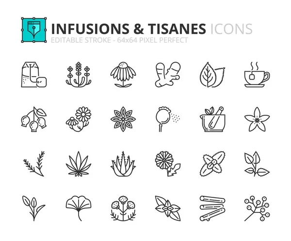 Liniensymbole Über Infusionen Und Tisanes Enthält Ikonen Wie Echinacea Lavendel — Stockvektor
