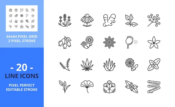 Иконки Линий Вливаниях Тканях Содержит Такие Иконы Эхинацея Лаванда Имбирь — стоковый вектор