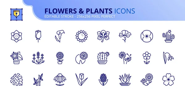Zeilensymbole Über Blumen Und Pflanzen Enthält Ikonen Wie Rose Gänseblümchen — Stockvektor