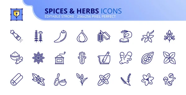 Line Icons Spices Herbs Contains Icons Turmeric Celery Rosemary Saffron — Stock Vector