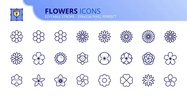 Çiçekler Hakkında Çizgi Simgeleri Düzenlenebilir Vuruş Vektörü 256X256 Piksel Mükemmel Vektör Grafikler