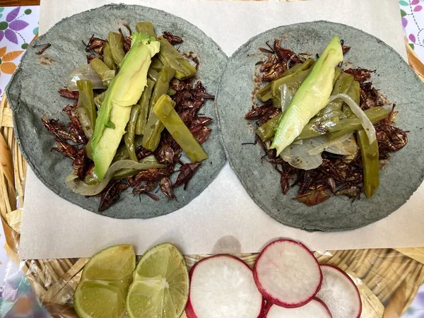 Tacos Chapulin Einer Blauen Tortilla — Stockfoto